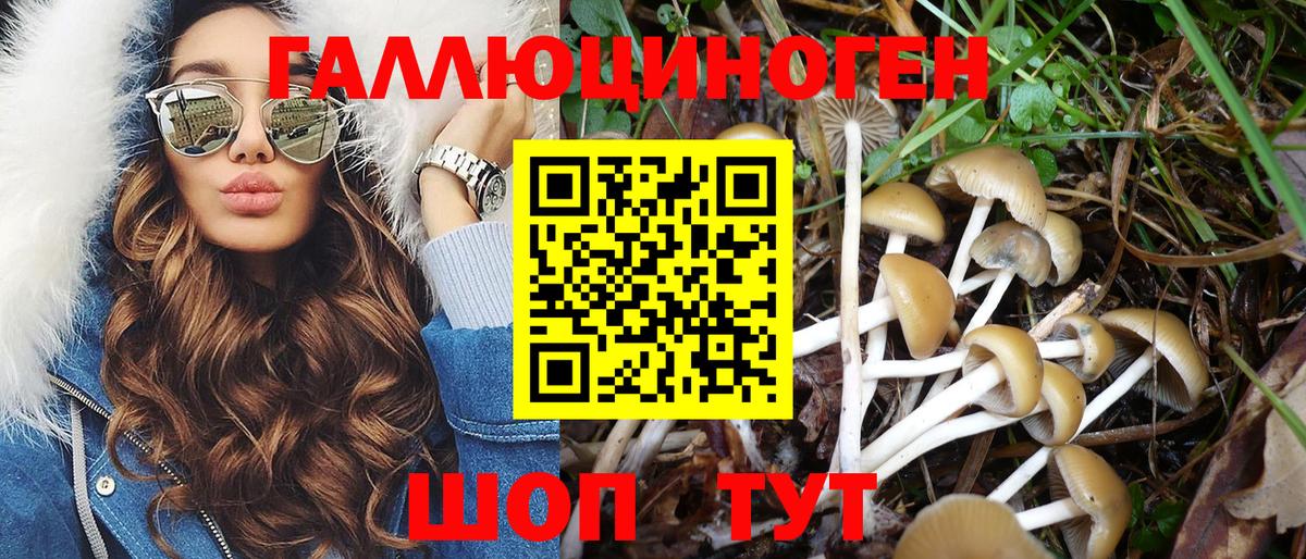 Галлюциногенные грибы ЛСД Фрязино