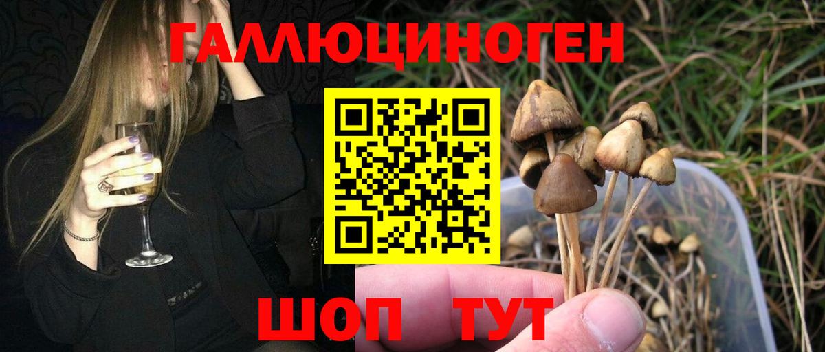 Галлюциногенные грибы Psilocybe  Вход с VPN  Фрязино 